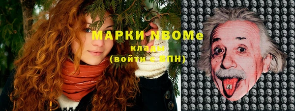 шишки Алексеевка