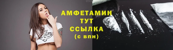 твердый Сатка