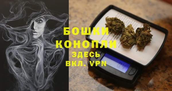 шишки Алексеевка
